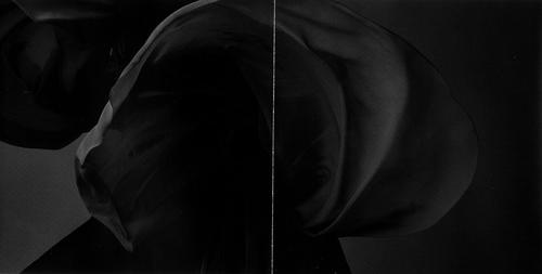 Heal Booklet (Scans) - book2.jpg