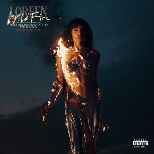 Wildfire - NIGHT_VINYL-CROP.jpg