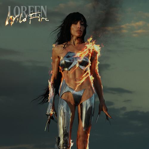 Wildfire - dusk-blank.jpg