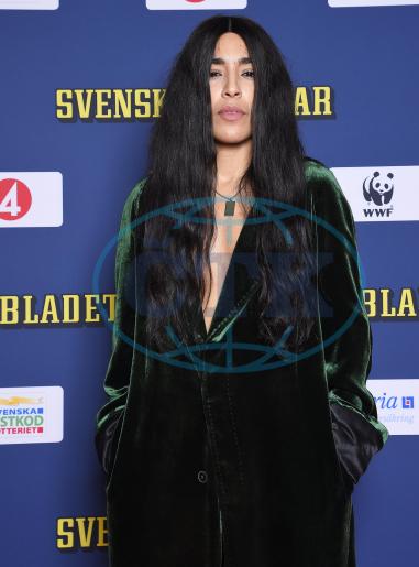 13 - December - Svenska hjältar, Sweden - F201612171211701.jpeg