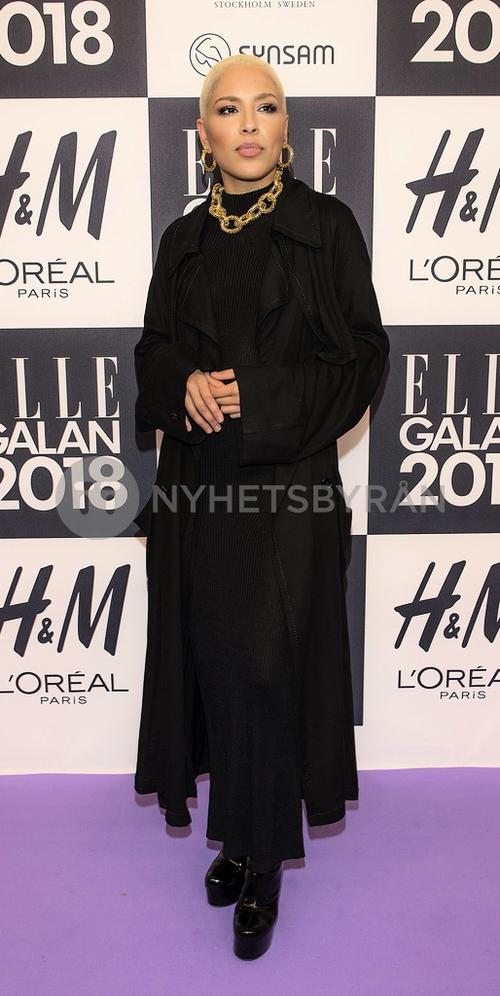 19 - January - Elle-galan, Sweden - sdlbQTB_lx_hXw_WatermarkPreview.jpg