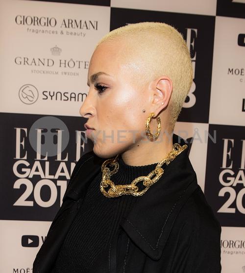 19 - January - Elle-galan, Sweden - sdltkaqm2Jo2dU_WatermarkPreview.jpg