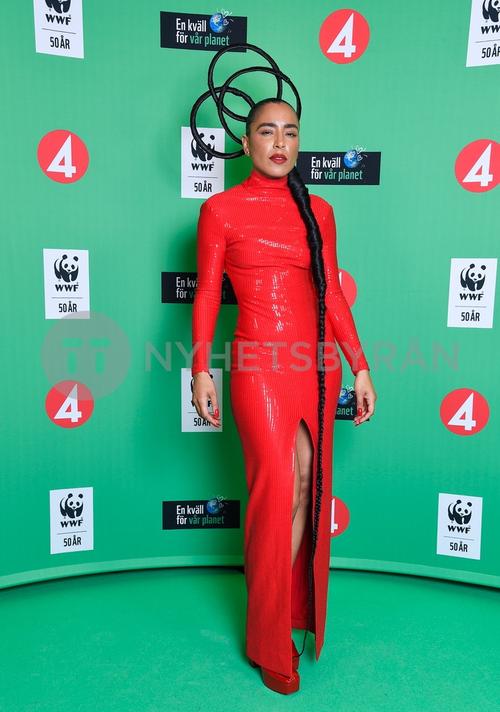 26 - August - En kväll för vår planet, Sweden - sdlaU_xXQGIpaQ_WatermarkPreview.jpg