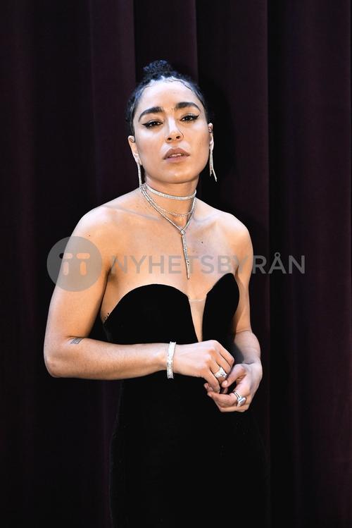 30 - January - Don't Stop The Music, Sweden - sdl3GtDoCY8kmM_WatermarkPreview.jpg