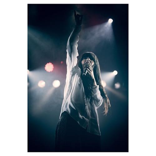 26 - November - Årets Julshow, Sweden (© Julia Fromisland) - 10832213_1518500598410000_1890251077_n.jpg