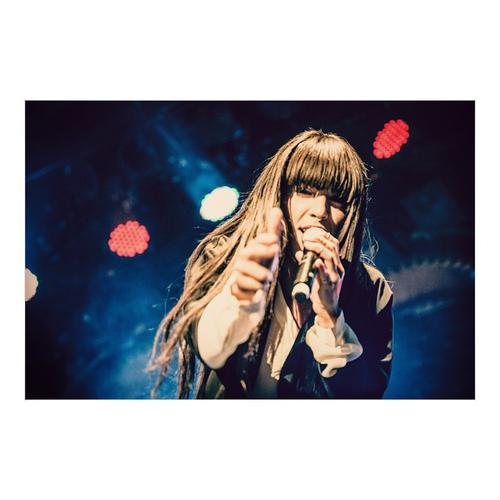 26 - November - Årets Julshow, Sweden (© Julia Fromisland) - 10838624_1531318473806106_246714073_n.jpg