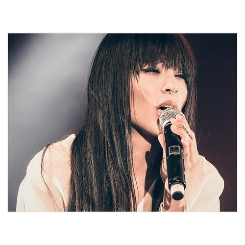 26 - November - Årets Julshow, Sweden (© Julia Fromisland) - 1390362_326785914181332_422337557_n.jpg