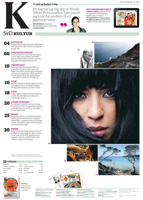 Svenska Dagbladet (May 2012) - svd2.png