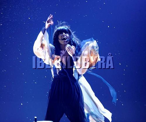 Performance - 377_037437.jpg