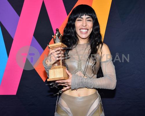 11 - March - Press Conference, Stockholm - sdltUai3mLB0wc_WatermarkPreview.jpg