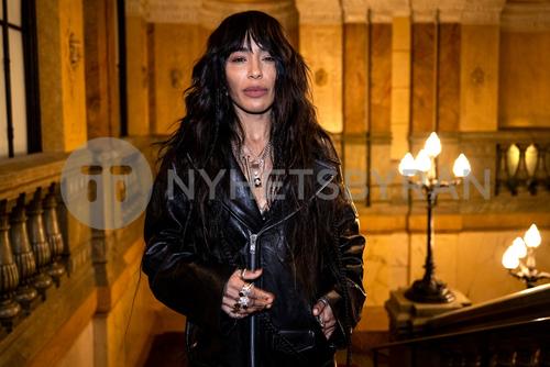 23 - February - Red Carpet and Welcome Party, Malmö - sdlAmxR6Zfgfo0_WatermarkPreview.jpg