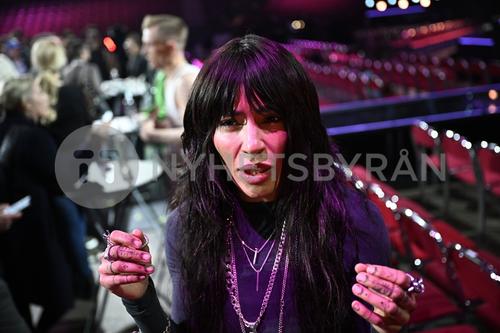 24 - February - Press Conference, Malmö - sdl4ai4Nap926A_WatermarkPreview.jpg