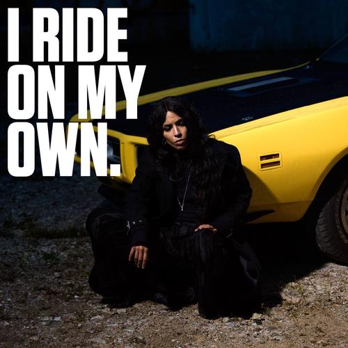 ’71 Charger - Promo Photos