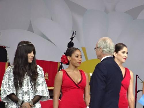 06 - June -  Nationaldagen 2014, Sweden - tumblr_n6snyeMHtS1rava0ko3_1280.jpg