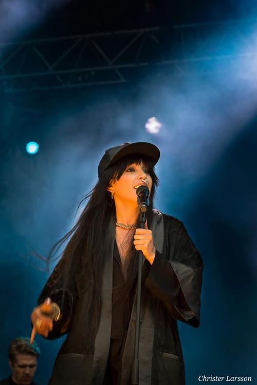 27 - June - Volvo Ocean Race, Sweden (© Christer Larsson, John Magnusson, Fotoscenen.se) - volvo_281029.jpg