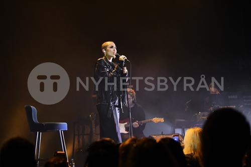 27 - November - Secret concert at Vasateatern, Sweden - sdlVlqc82cWOzw_WatermarkPreview.jpg