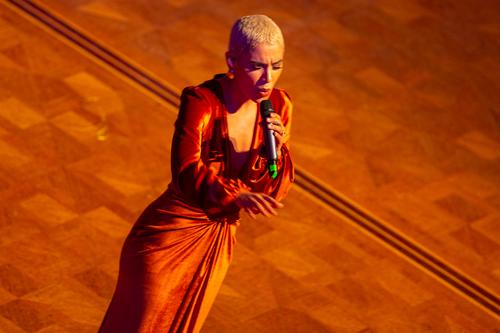 30 - November - Red Cross Ball, Austria (© Kellner Holly Thomas) - 181131_WRK_Ball-1134.jpg