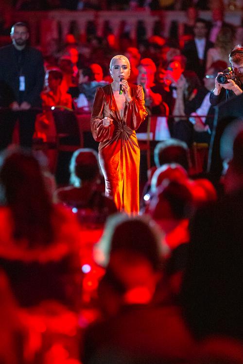 30 - November - Red Cross Ball, Austria (© Kellner Holly Thomas) - 181131_WRK_Ball-1187.jpg