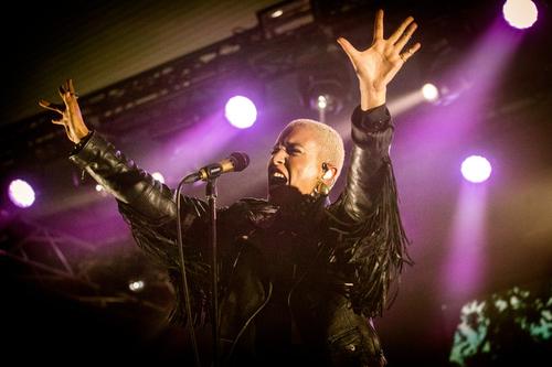 31 - August - Statement Festival, Sweden - 20180901_114517_100175.jpg