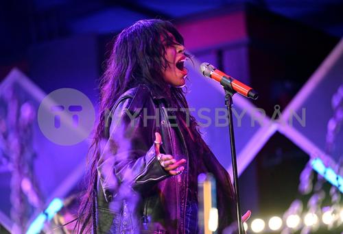 10 - March - Sverige samlas och hjälper, Sweden - sdlUk__SENMExA_WatermarkPreview.jpg