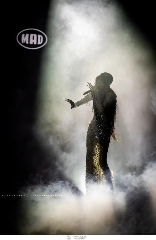 26 - November - MadWalk 2025 - pan-06586-800x1226.jpg