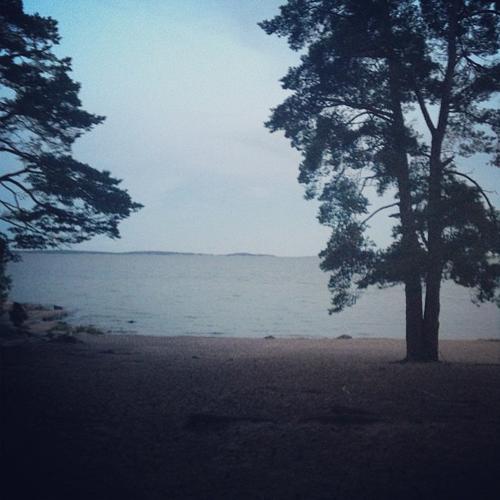 2013 - 24db19a8044b11e38a7922000aeb0d1a_7.jpg