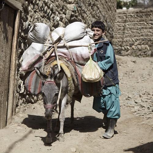 2013 - 37ab083a1eaa11e3ac7c22000a1f96a8_7.jpg