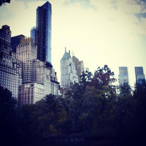 2013 - 58de31c83b0e11e388fb22000ae911cc_8.jpg