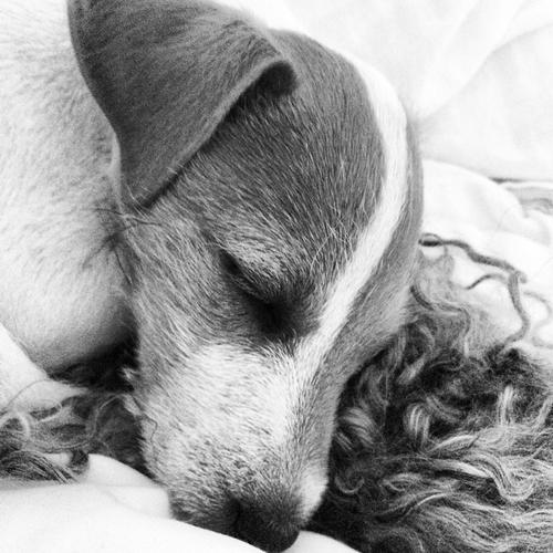 2014 - 10707180_777615645631861_1936603153_n.jpg