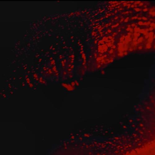 2015 - 11205679_968822923129370_1268140153_n.jpg