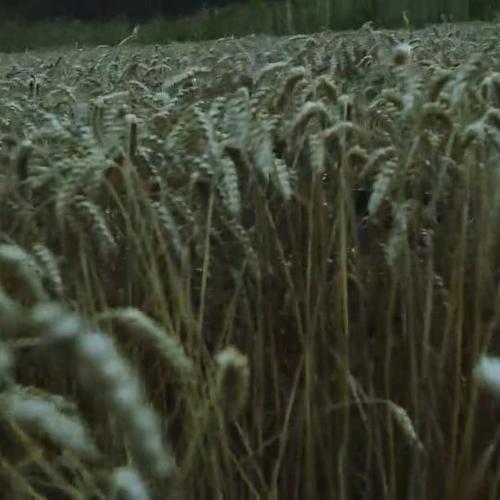 2017 - 21985034_1928605810797964_260067996418965504_n.jpg