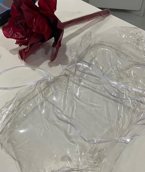 2023 - instagram_2811329.jpg