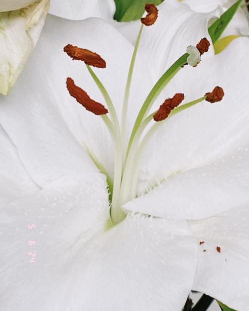 2024 - 442213005_1105757290539370_1611485761297152634_n.jpg