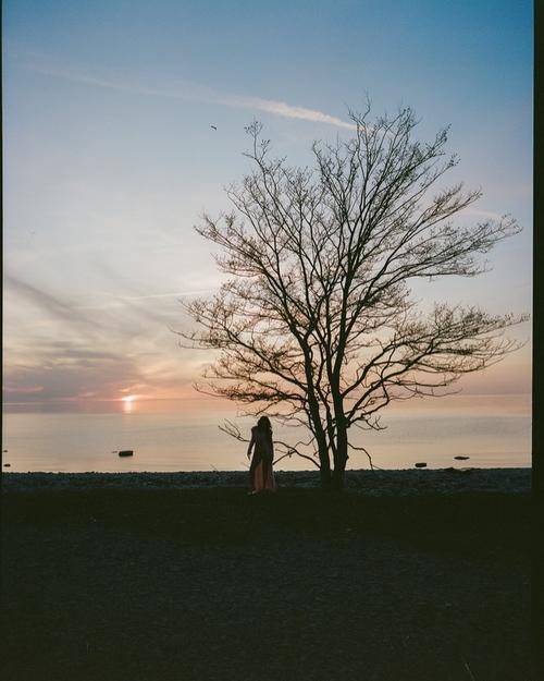 2024 - 442713171_460533323199750_5764719803921047735_n.jpg