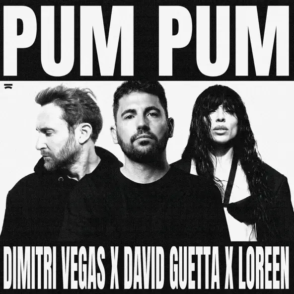 Pum Pum Cover